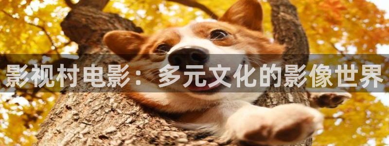 国产免费mv大片人人电影播放器：影视村电影：多元文化的影像世界