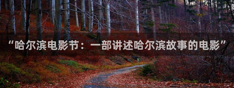 人人影视在线观看：“哈尔滨电影节：一部讲述哈尔滨故事的电影”