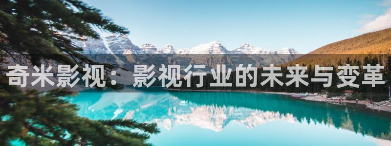 人人从众影视公司：奇米影视：影视行业的未来与变革