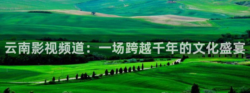 人人电影软件下载：云南影视频道：一场跨越千年的文化盛宴