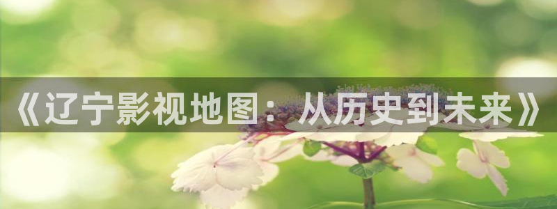超操人人碰：《辽宁影视地图：从历史到未来》