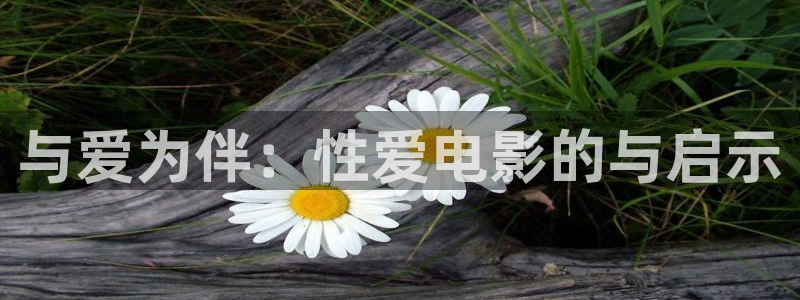 人人超碰麻豆：与爱为伴：性爱电影的与启示
